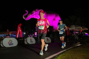 BIB: 
                            <button type="button" onclick="openModal(26543960)" class="btn btn-primary btn-sm float-right btn-popup" data-toggle="modal" data-target=".modal-high-quality">
                        <i class="fas fa-shopping-cart"></i> Add to Cart
                    </button>
                                            <button type="button" onclick="isThisMe(26543960, true)" class="btn btn-success btn-sm float-right btn-popup btn-isme hidden" data-toggle="tooltip" data-placement="bottom" title="นี่คือรูปของคุณใช่ไหม คลิกที่นี่เพื่อเอาเข้าอัลบั้ม">
                        <i class="fas fa-plus"></i> Add to album
                    </button>
                    <button type="button" onclick="isThisMe(26543960, false)" class="btn btn-warning btn-sm float-right btn-popup btn-isnotme hidden">
                        <i class="fas fa-ban"></i> Remove from album
                    </button>